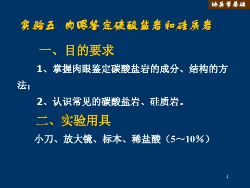 实验五 肉眼鉴定碳酸盐岩和硅质岩