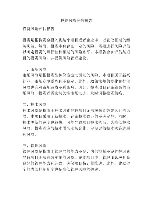 投资风险评估报告