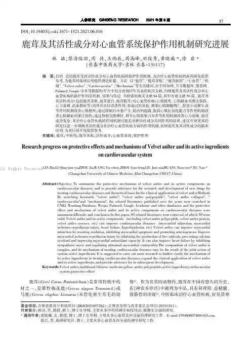 鹿茸及其活性成分对心血管系统保护作用机制研究进展