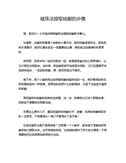 磁珠法提取核酸的步骤
