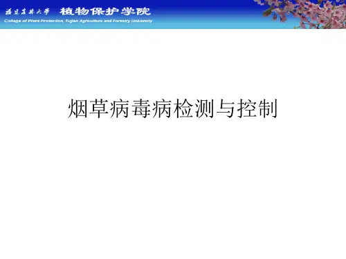 植物化学保护：烟草花叶病毒病