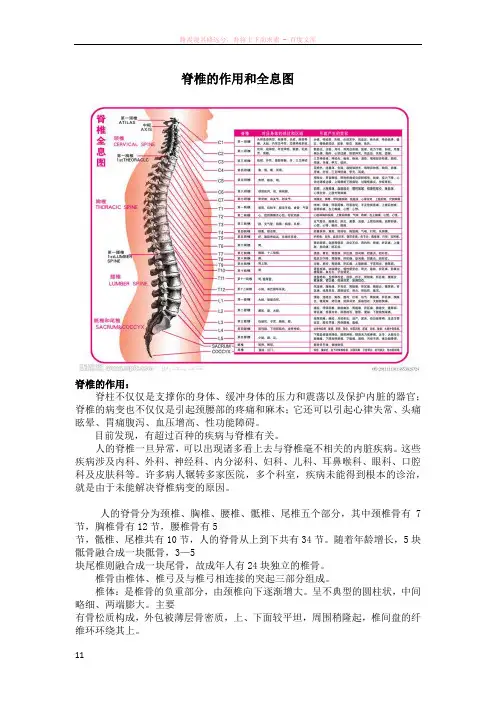 脊椎的作用和全息图