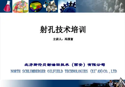 2013射孔技术