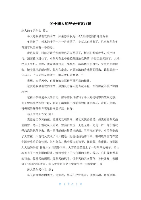 关于迷人的冬天作文八篇