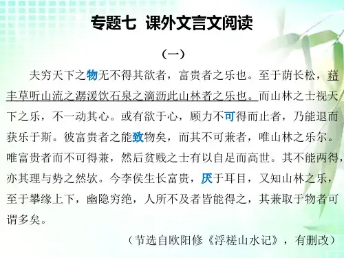 人教部编版九年级语文复习课件：专题七课外文言文阅读(共30张PPT)