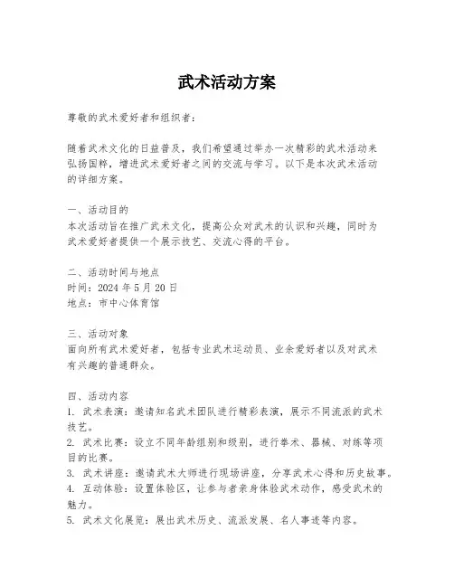 武术活动方案