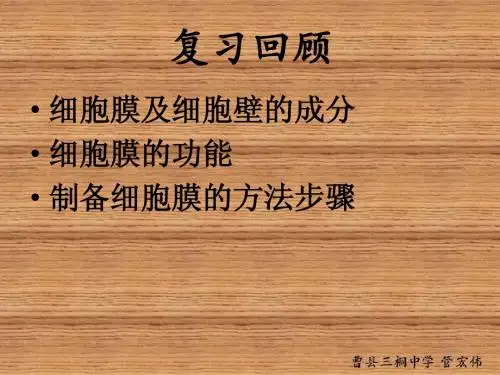 3.2细胞器——系统内的分工合作修改稿