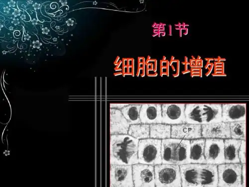 人教版高中生物必修一6.1《细胞的增殖》课件 (共34张PPT)