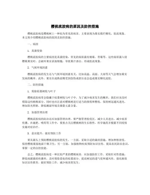 樱桃流胶病的原因及防控措施