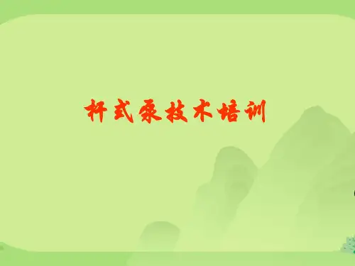 杆式抽油泵技术培训
