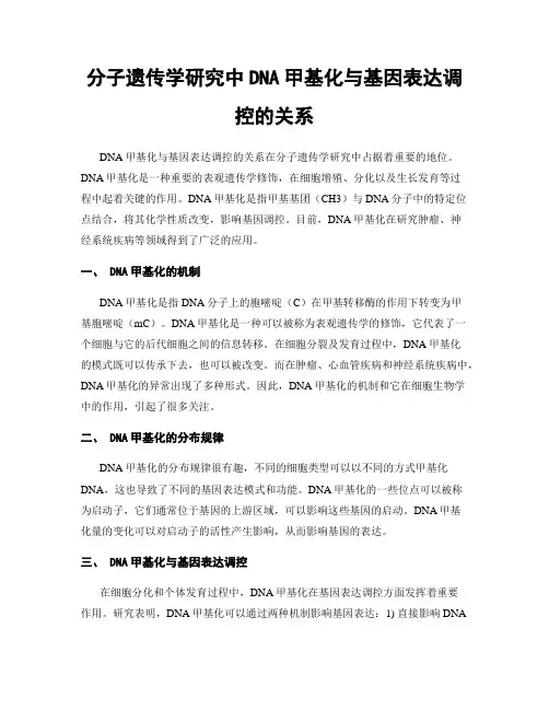 分子遗传学研究中DNA甲基化与基因表达调控的关系