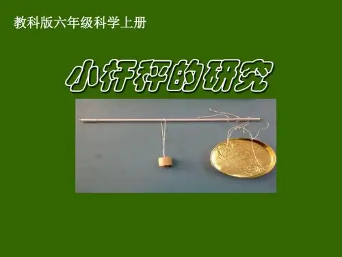 小杆秤的研究