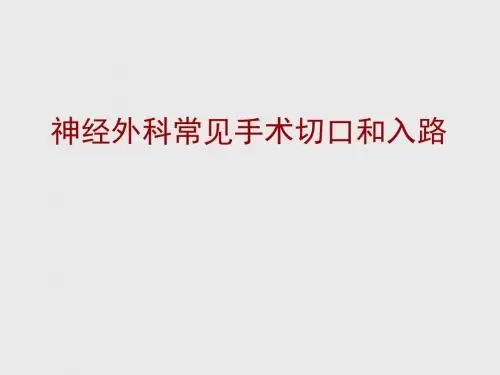 神经外科常见手术切口和入路ppt课件