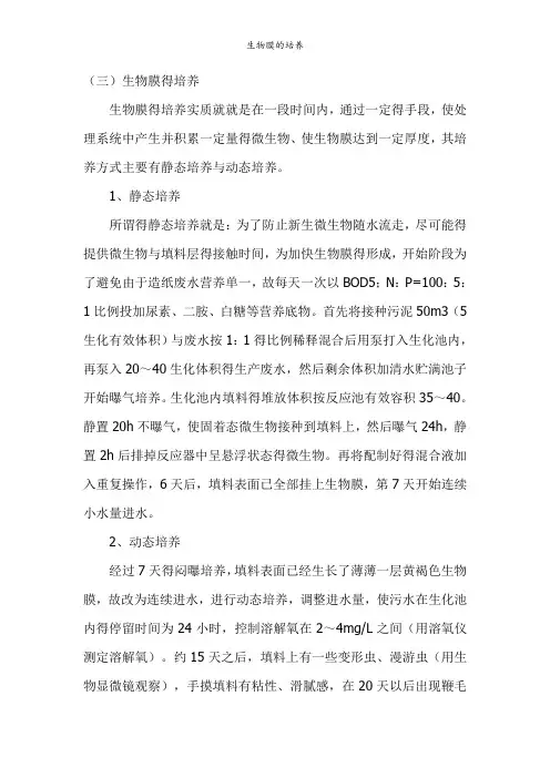 生物膜的培养