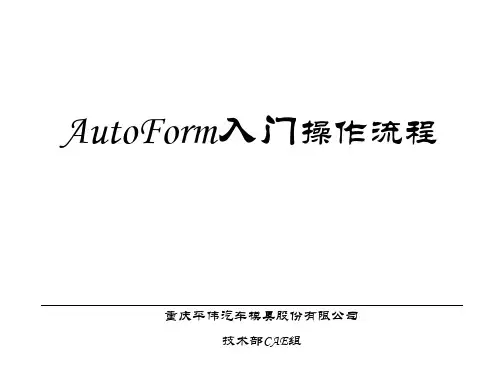 Autoform入门操作流程详解