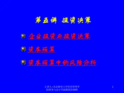 财务管理讲义-投资决策