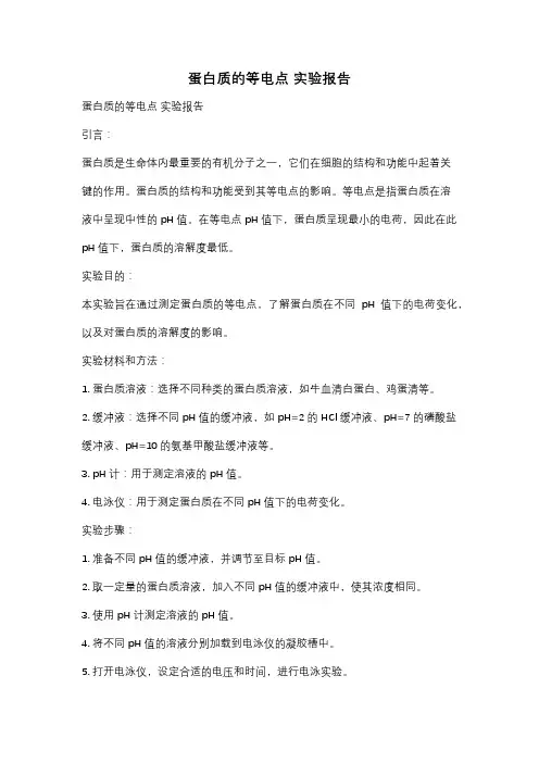 蛋白质的等电点 实验报告