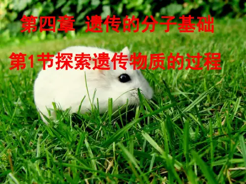 人类探索遗传物质的过程