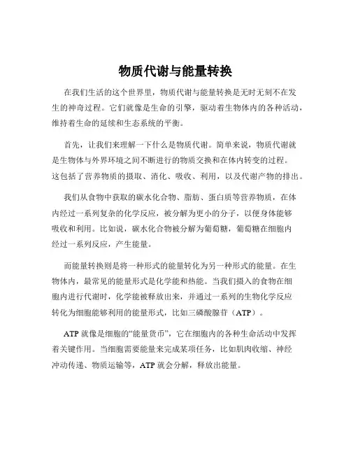 物质代谢与能量转换