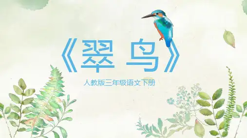 《翠鸟》人教版三年级语文下册
