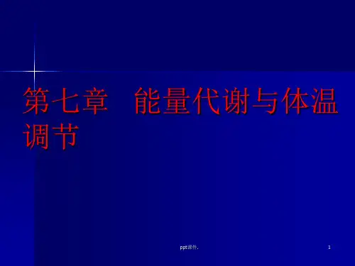 动物生理学能量代谢与体温调节精选幻灯片