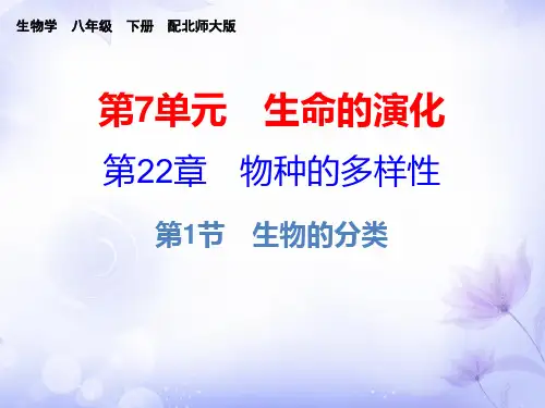 生物八年级下北师大版22.1生物的分类 课件(22张)
