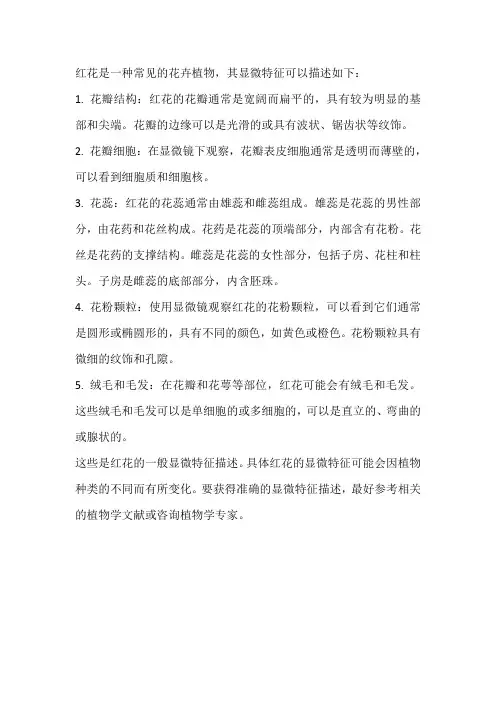 红花的显微特征描述