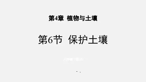 《保护土壤》PPT课件