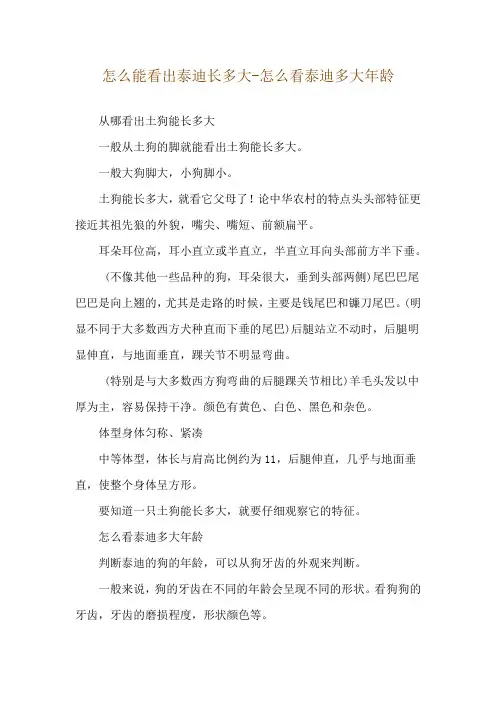 怎么能看出泰迪长多大-怎么看泰迪多大年龄