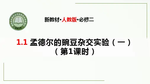 高一生物优质课件孟德尔的豌豆杂交实验一第1课时人教版2019必修2