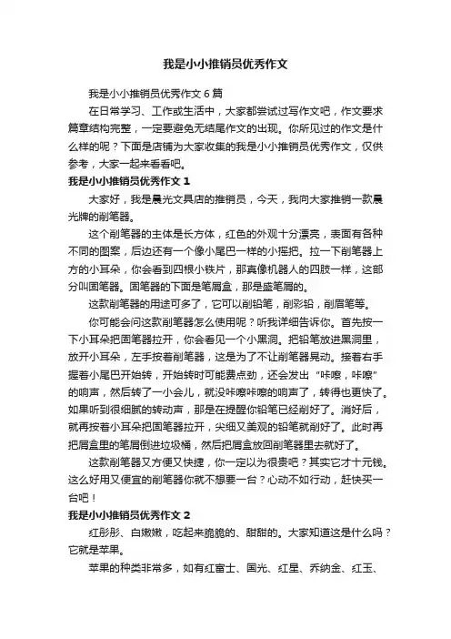 我是小小推销员优秀作文