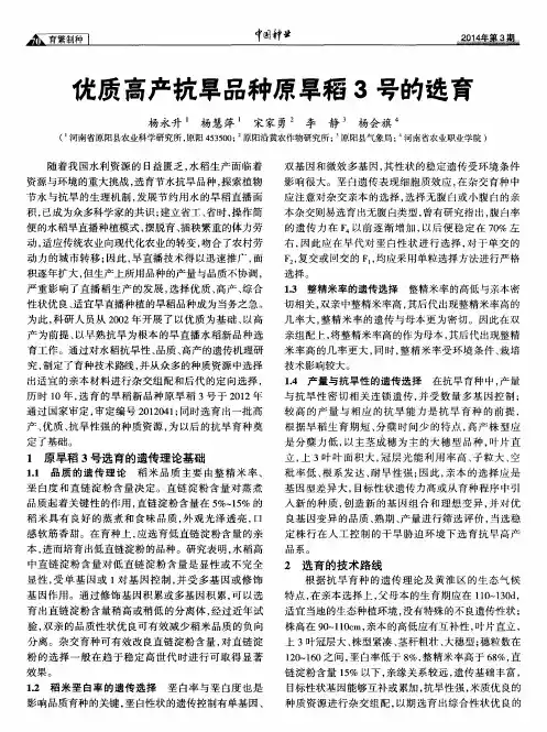 优质高产抗旱品种原旱稻3号的选育