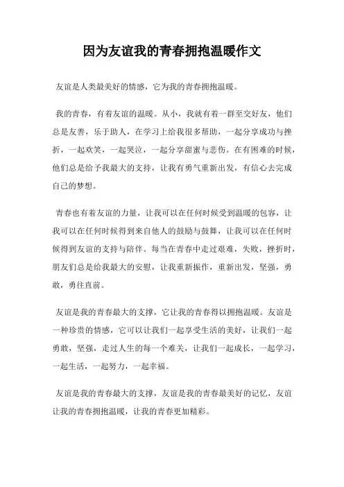 因为友谊我的青春拥抱温暖作文
