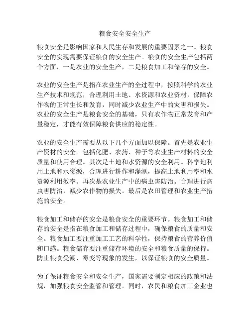 粮食安全安全生产