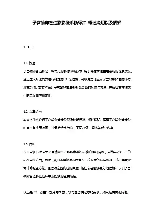 子宫输卵管造影影像诊断标准_概述说明以及解释