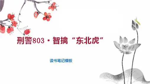 刑警803 智擒“东北虎”