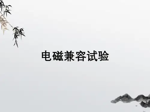 电磁兼容试验