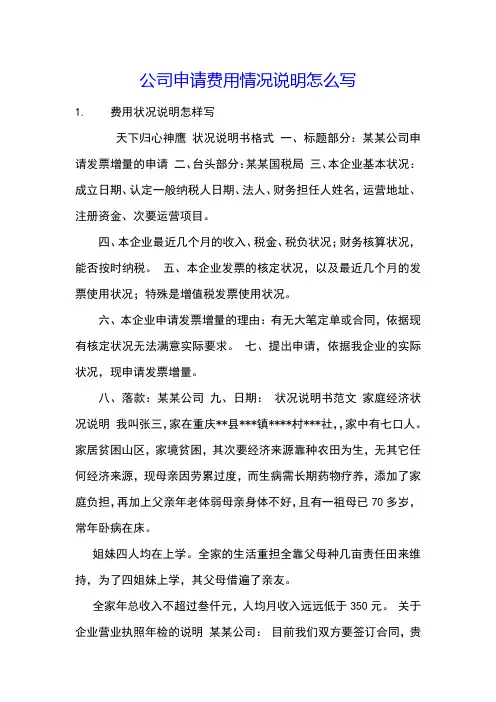 公司申请费用情况说明怎么写