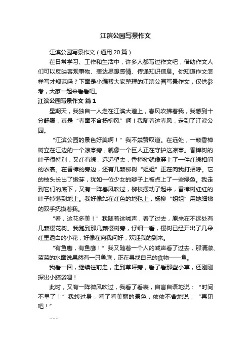 江滨公园写景作文（通用20篇）