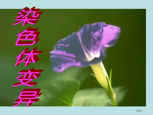 生物染色体变异新人教版必修名师优质课赛课一等奖市公开课获奖课件