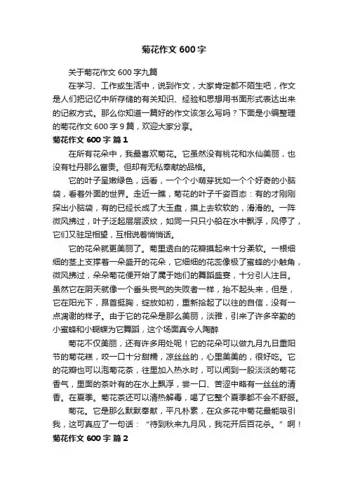 关于菊花作文600字九篇