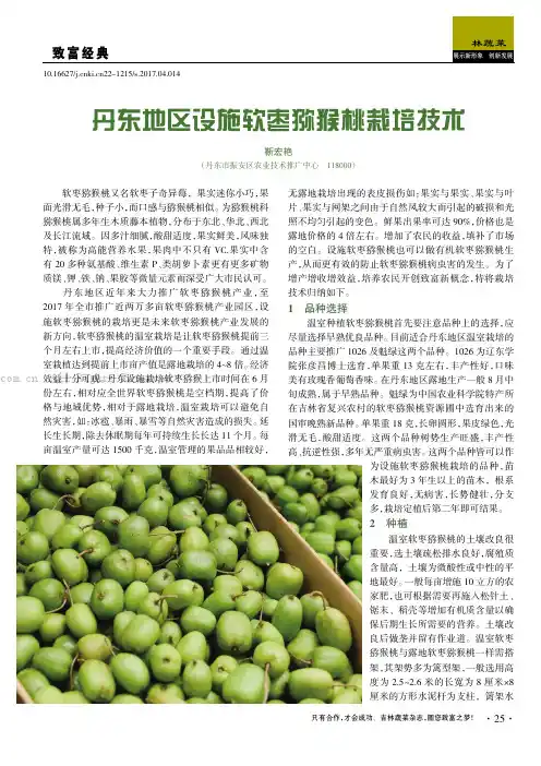 丹东地区设施软枣猕猴桃栽培技术
