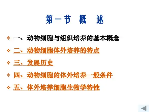 动物细胞培养技术