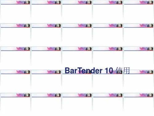 bartende条码打印软件设置手册