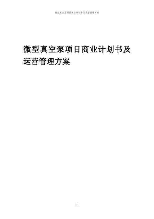 2024年微型真空泵项目商业计划书及运营管理方案