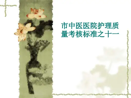 优质护理质量标准解析 PPT课件