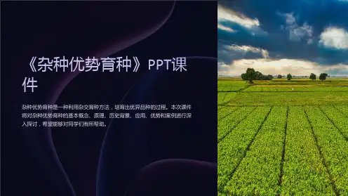 《杂种优势育种》课件