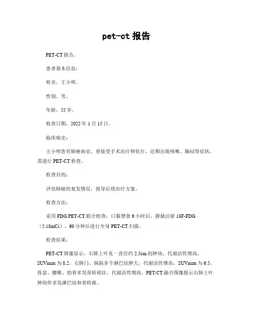 pet-ct报告