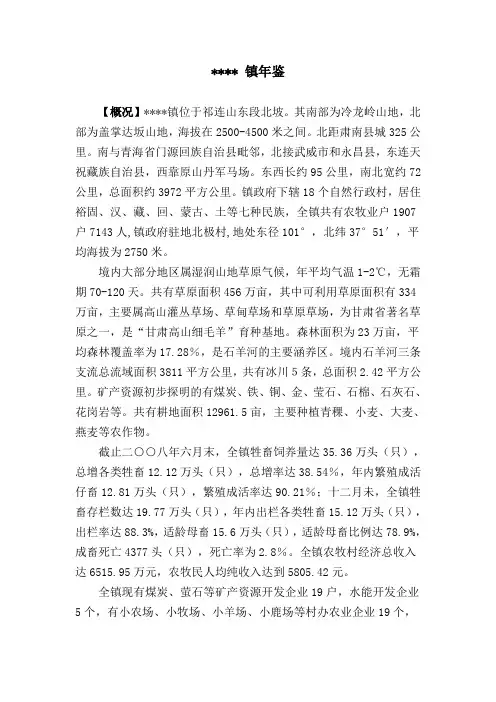 乡镇年鉴