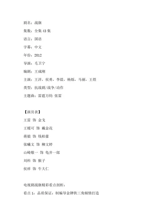 电视剧《战旗》剧情介绍